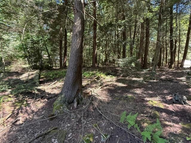 Property Photo: 0 Barlett Lane PA 16313