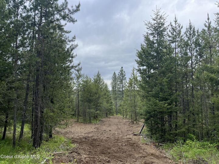 Property Photo: 12 Acres Elizabeth Ln ID 83801