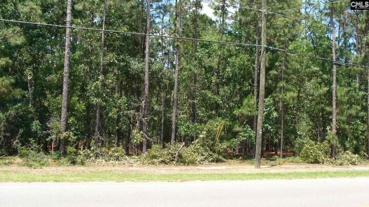 Property Photo: 816 Meadowfield SC 29053