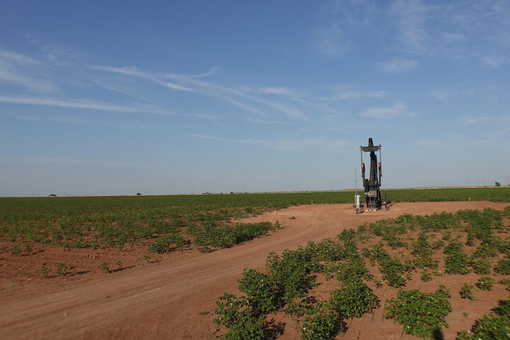 0 Fm 597  Abernathy TX 79311 photo
