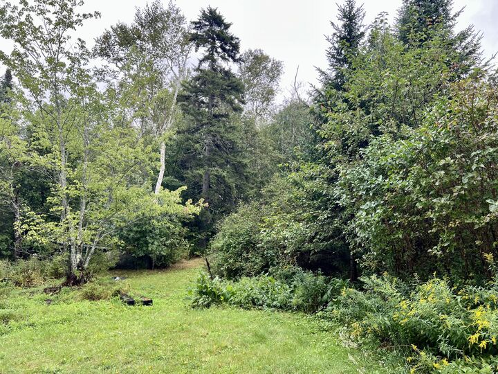 Property Photo: 92 Back Searsport Road ME 04915
