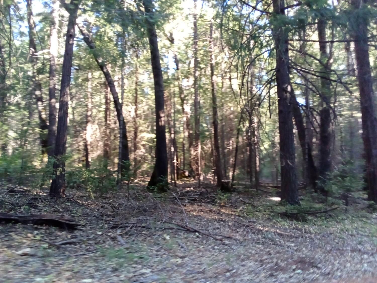 Property Photo:  0 3 Just Road  CA 95713 