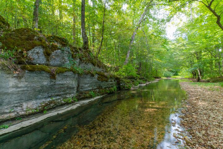 Property Photo: 1526 Old Beech Creek Rd TN 38485