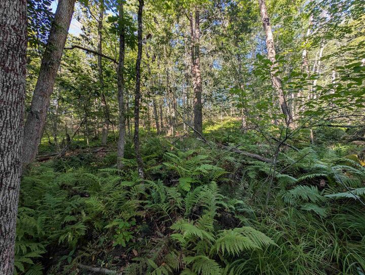Property Photo:  008-043-001 School House Road  NH 03043 