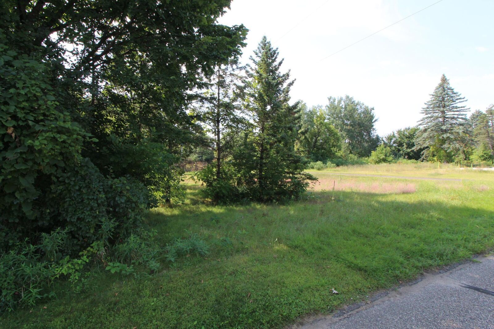 Property Photo: 802 Lois Lane MN 55014
