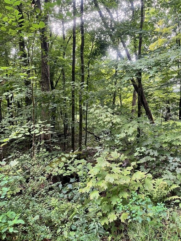 Property Photo: Lot 17.04 & 17.05 Sabin Street MA 01007
