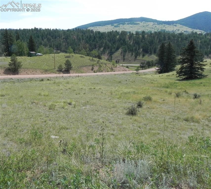 Property Photo:  53 Nickel Plate Road  CO 80813 