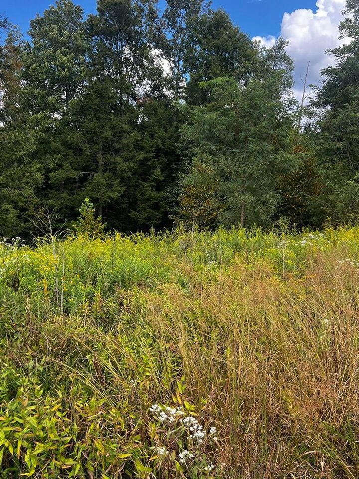 Property Photo: 318 River Ridge Lane WV 26679