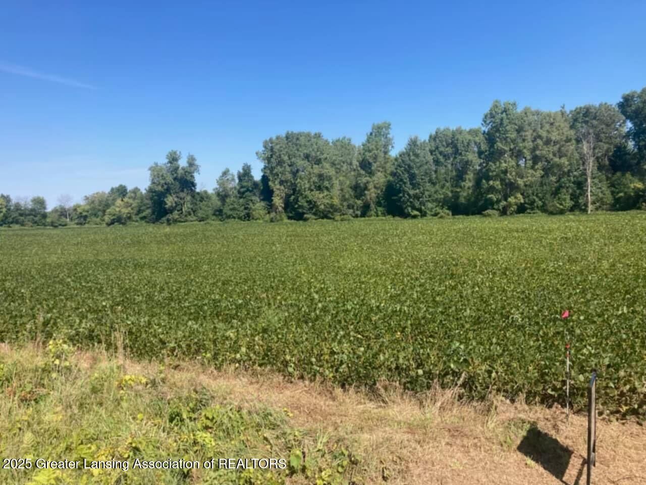 Property Photo:  000 W Huff Road  MI 48831 
