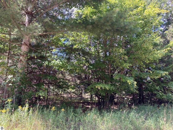 Property Photo: 180 Flowing Well Road MI 49646