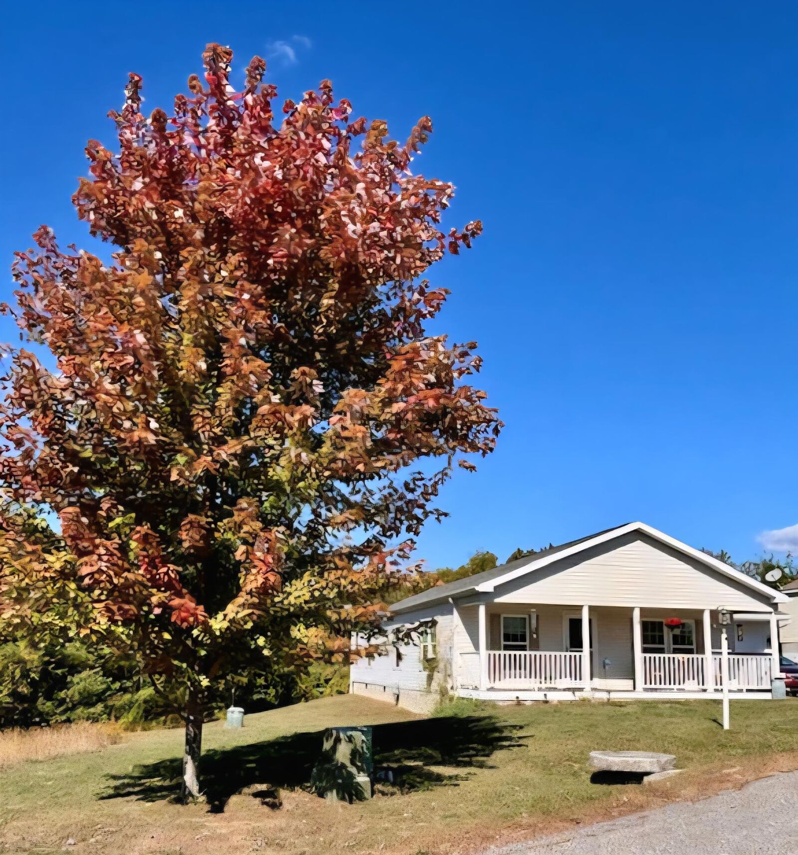 Property Photo: 18 Eagle Nest Drive NH 03253