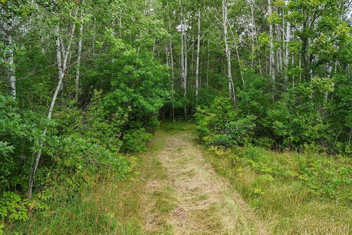 Property Photo:  5415 Park Preserve Trail NE  MN 56601 