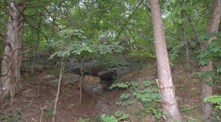 Property Photo:  10.75 Acres Younkers Lane  MO 64854 