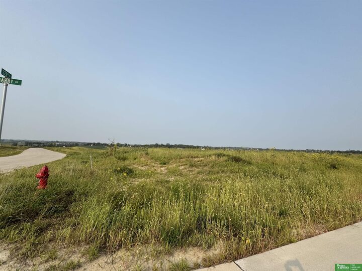 Property Photo: Tbd Lot 41 Street NE 68028