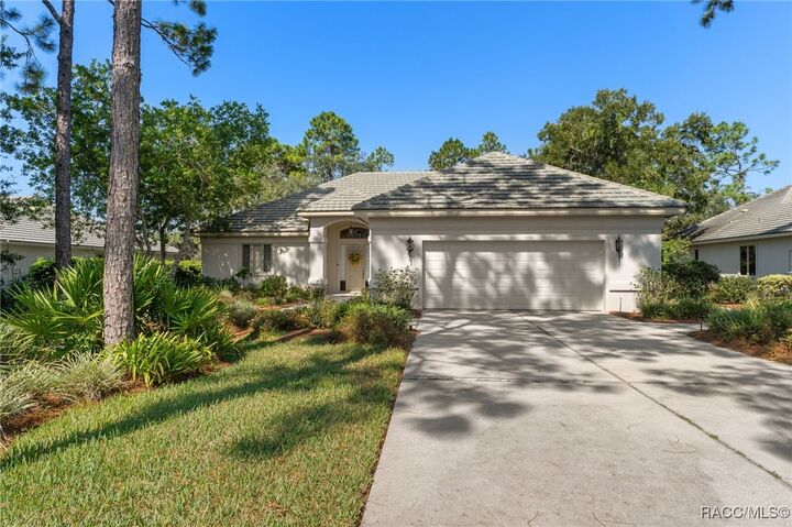 3824 N Baltusrol Path  Lecanto FL 34461 photo