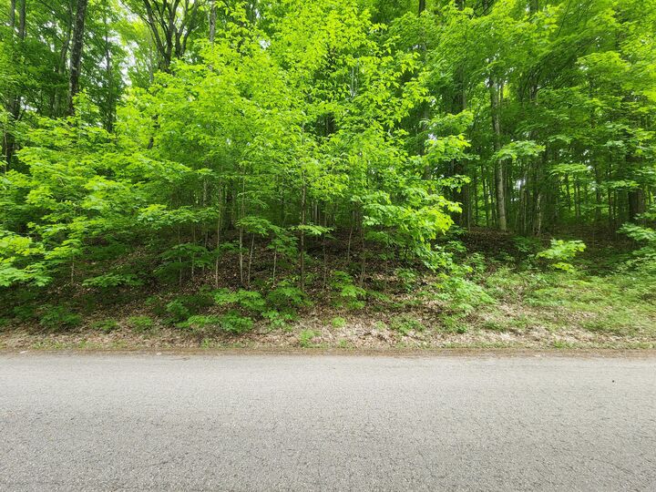 V/L 1.23ac Hlywa Drive  Gaylord MI 49735 photo