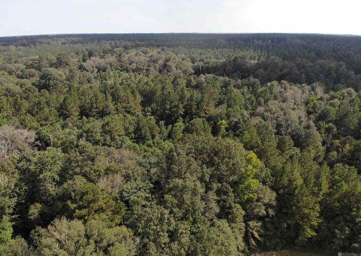 Property Photo:  Tbd La Hwy 10  LA 70444 