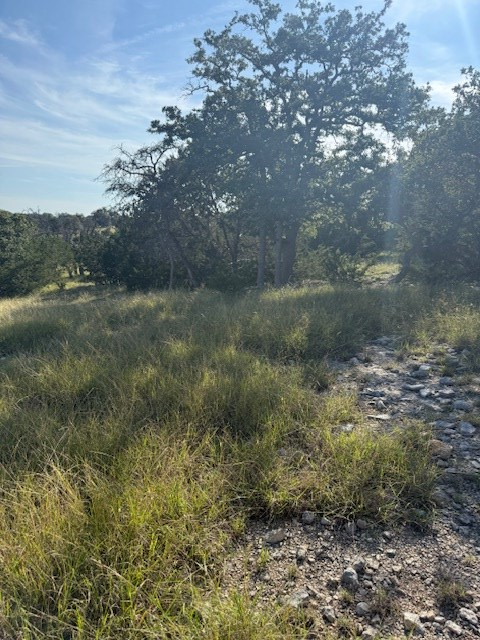 Property Photo:  Lot 75 Pinnacle Dr  TX 78624 