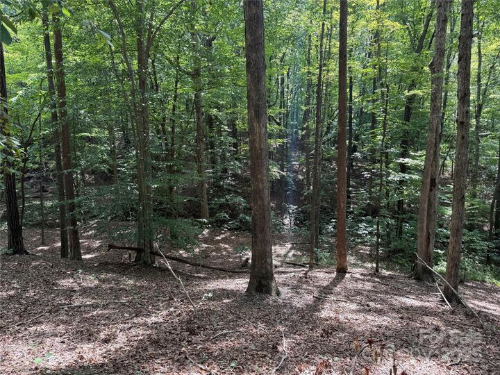 Property Photo:  0 Mountain Brook Trail 298  NC 28761 
