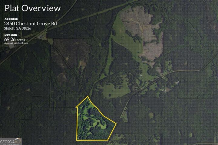 2450 Chestnut Grove Road 3  Shiloh GA 31826 photo