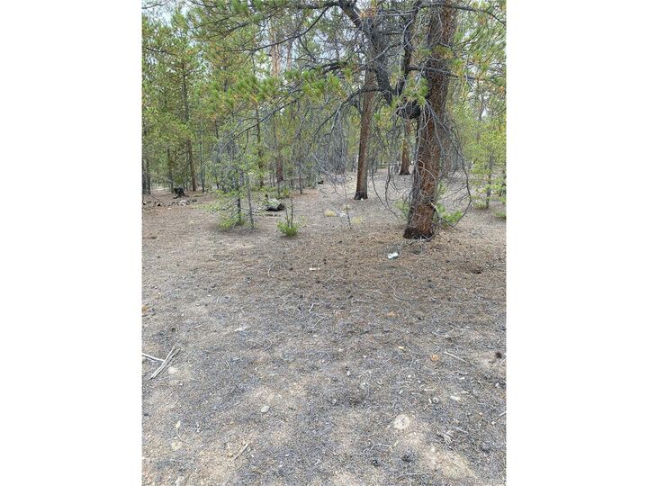 Property Photo:  340 Peak View Dr  CO 80461 