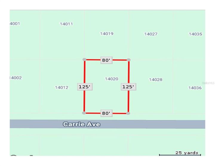 Property Photo: 14020 Carrie Avenue FL 33953