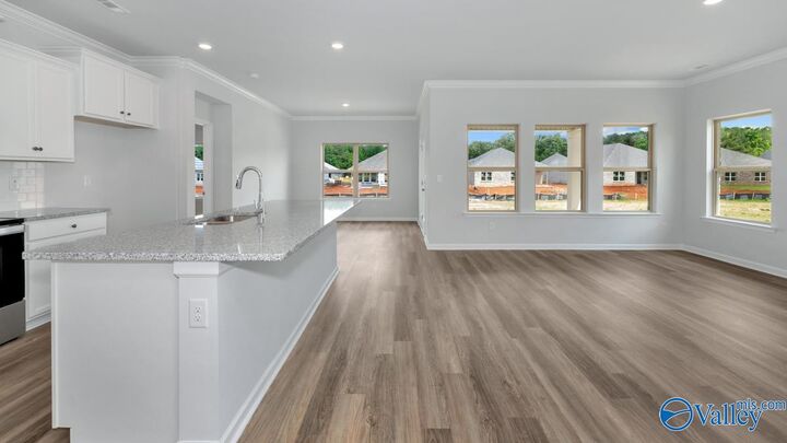Property Photo: 1271 Eidson Street AL 35611