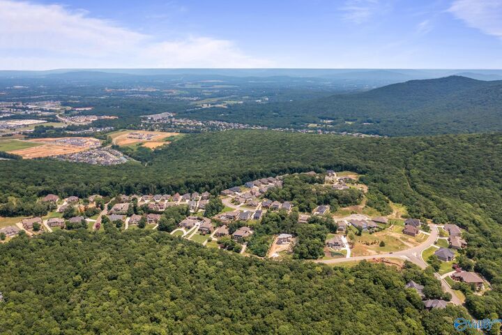 Property Photo: 19 Acres Hawks Way AL 35811