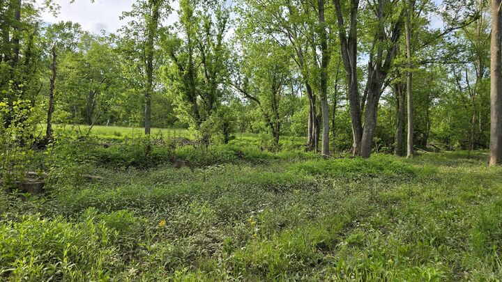 Property Photo: Tract 2 Folsom Jonesville Road KY 41046