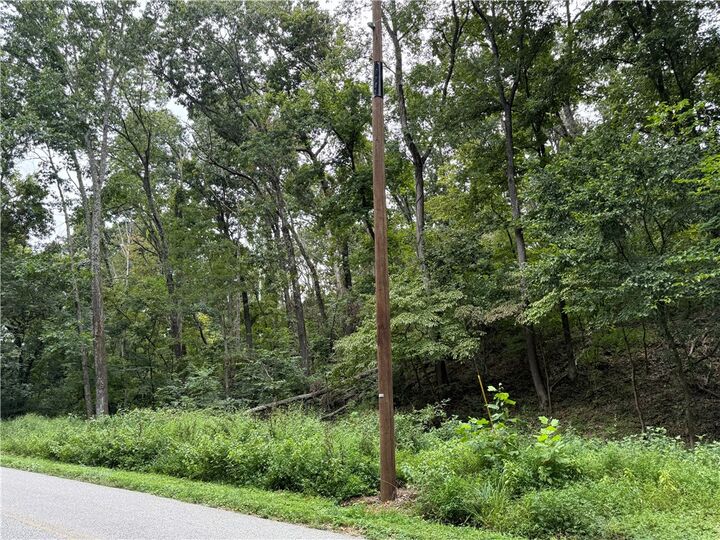 Property Photo: Hilltop Drive AR 72756