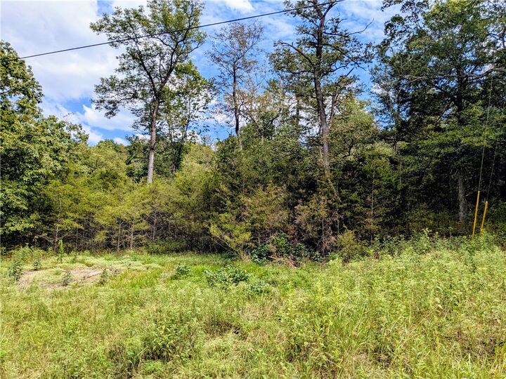 Property Photo: 14 White River Lane AR 72631