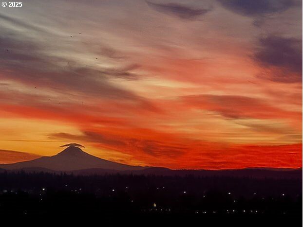 Property Photo: 836 S Curry St 900 OR 97239