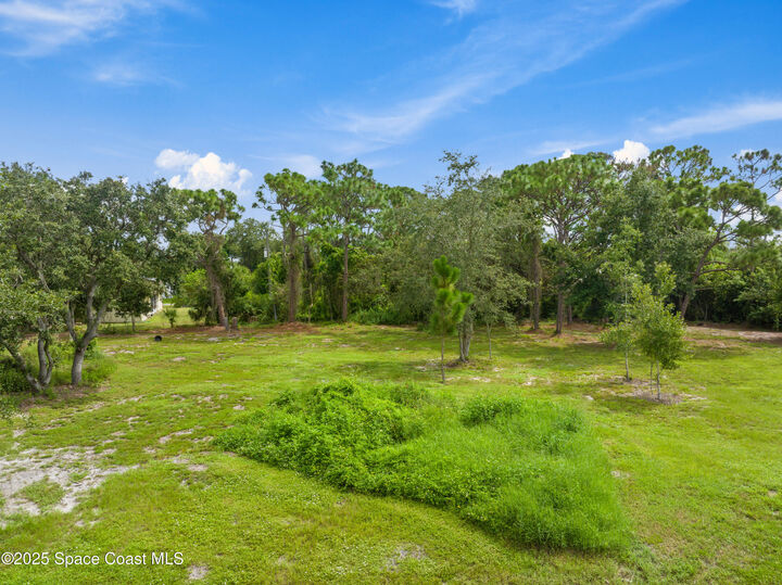 Property Photo:  11136 Mulberry Street  FL 32958 