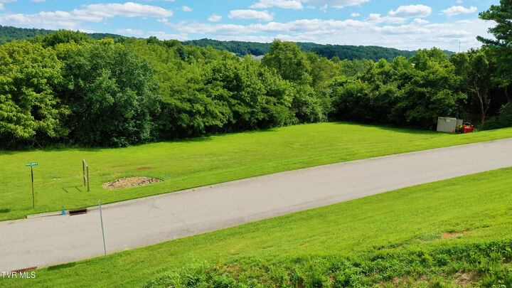 Property Photo:  Tract 1 Patriot Landing Drive  TN 37725 