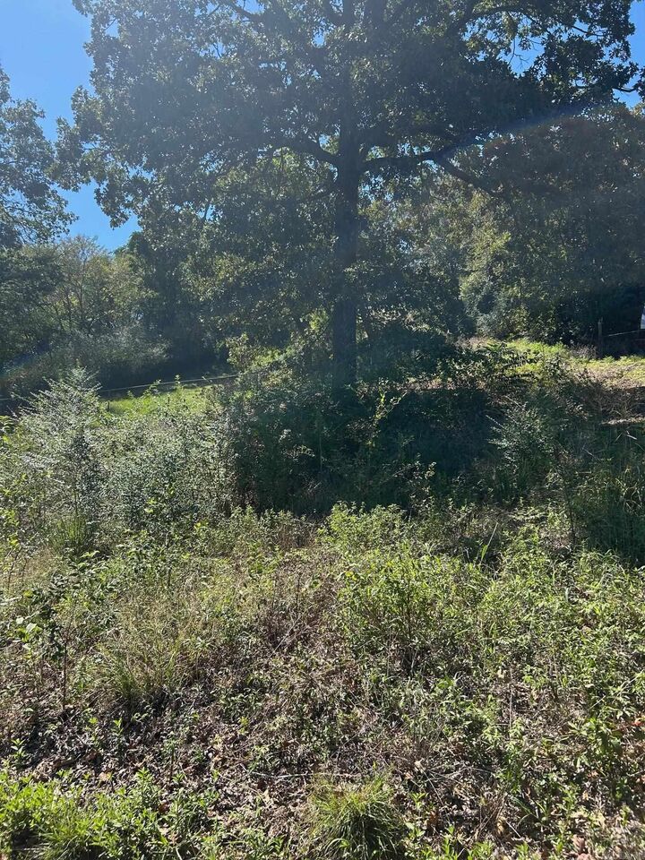 Property Photo:  00 Kaps Landing Road  AR 72032 
