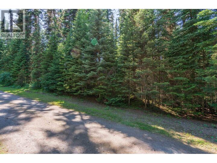 Property Photo:  1 & 2 Bowron Lake Road Lot  BC V0K 2R0 