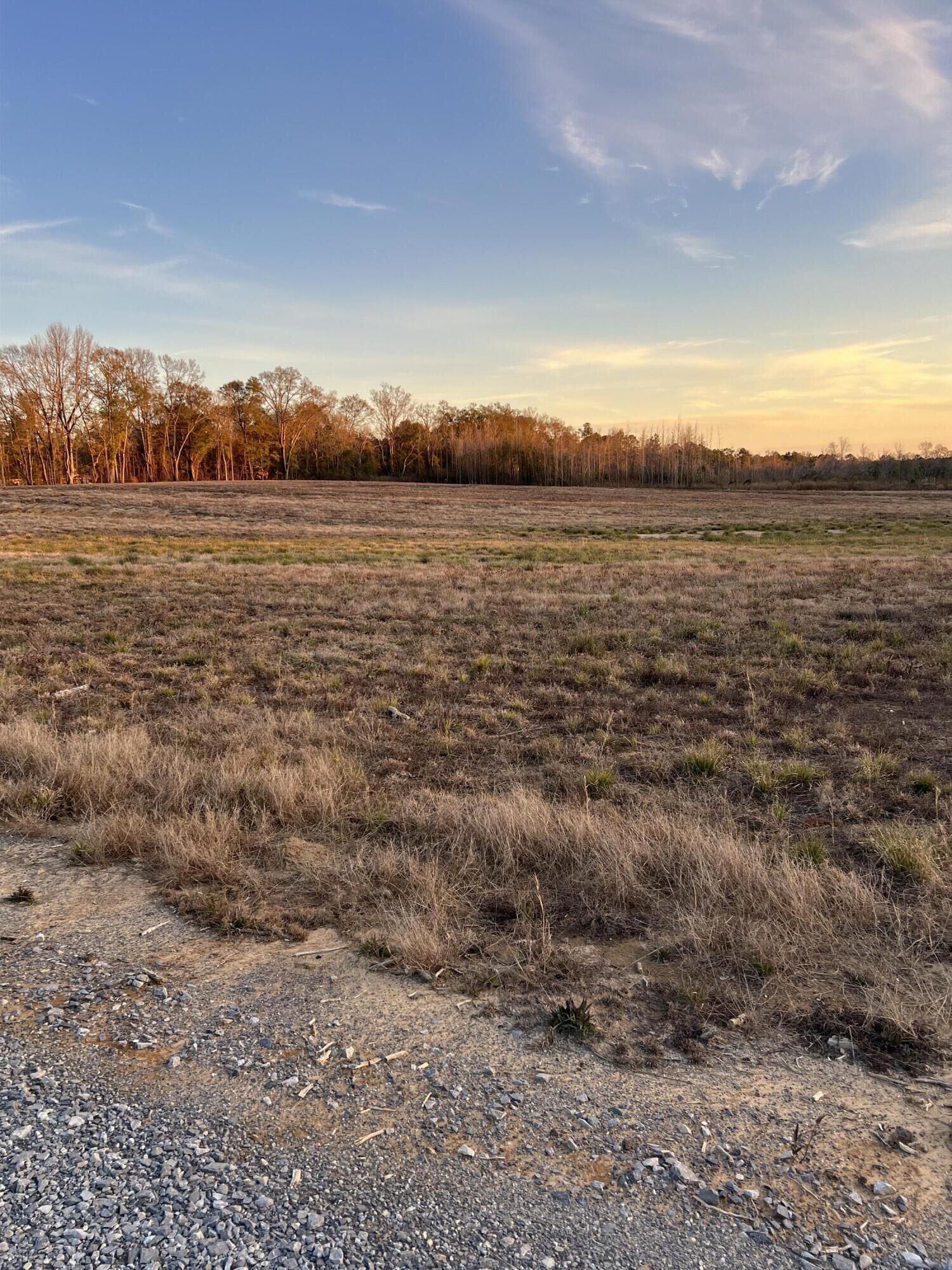 Property Photo:  Lot 7 1 Ac Patton Creek Rd.  MS 39367 