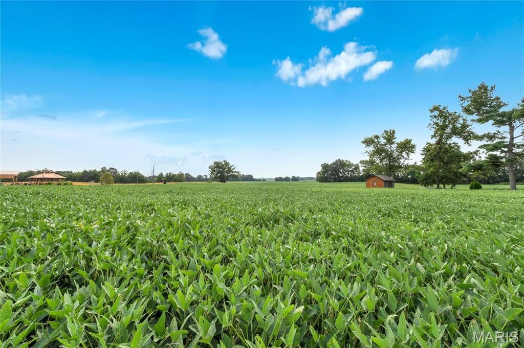 Property Photo:  Lot 2 E Back Street  IL 62248 