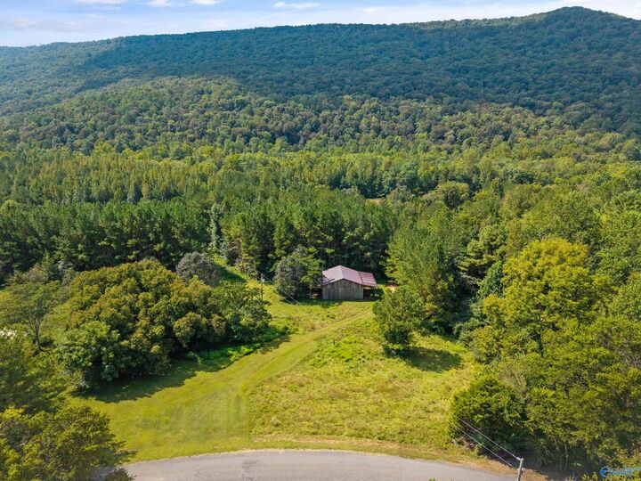 Property Photo:  3818-2 County Road 4 Tract 2  AL 35751 