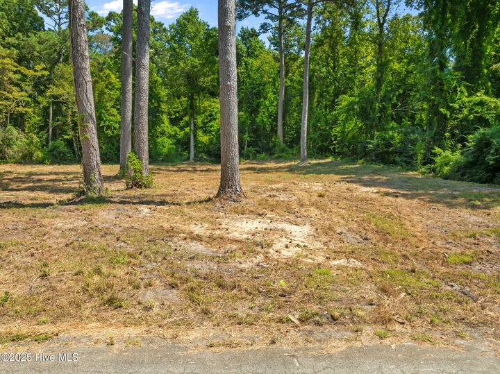 Property Photo:  124 Jupiter Trail  NC 28546 