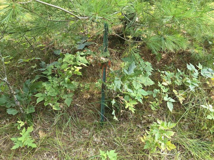 Property Photo: Lot 40 18th Avenue WI 54613