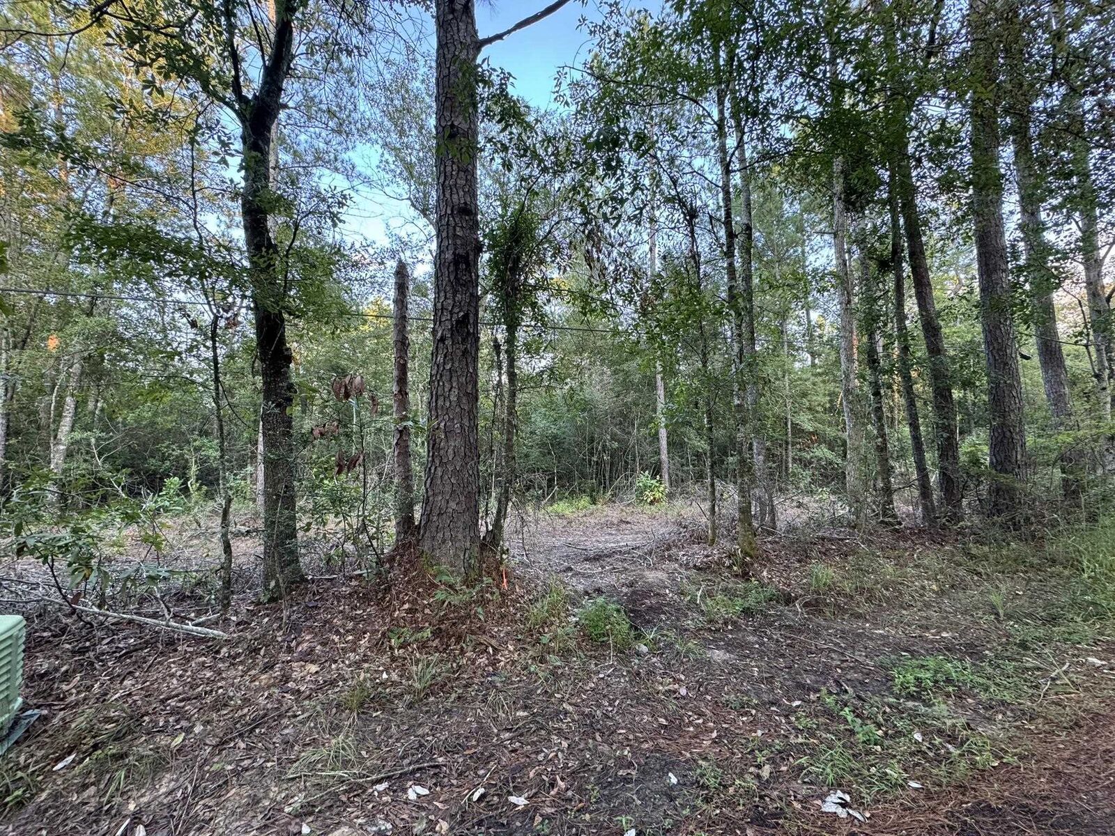 Property Photo:  730 Cr 459  TX 75956 