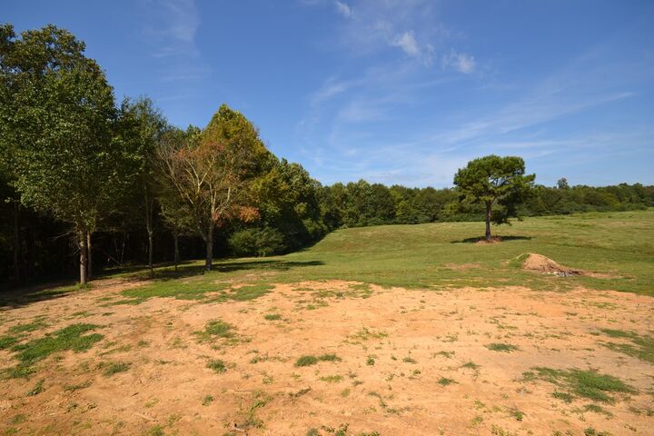 Property Photo: 1425 Co Rd 1564 AL 35019 - BAILEYTO