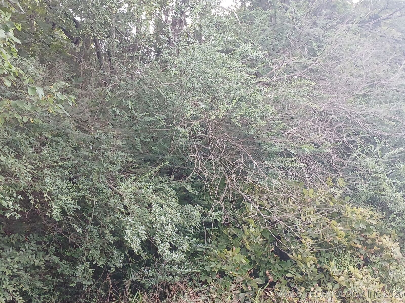 Property Photo: Finch OK 74501
