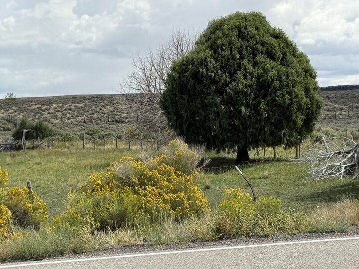 Property Photo:  1025 S Main St  UT 84759 