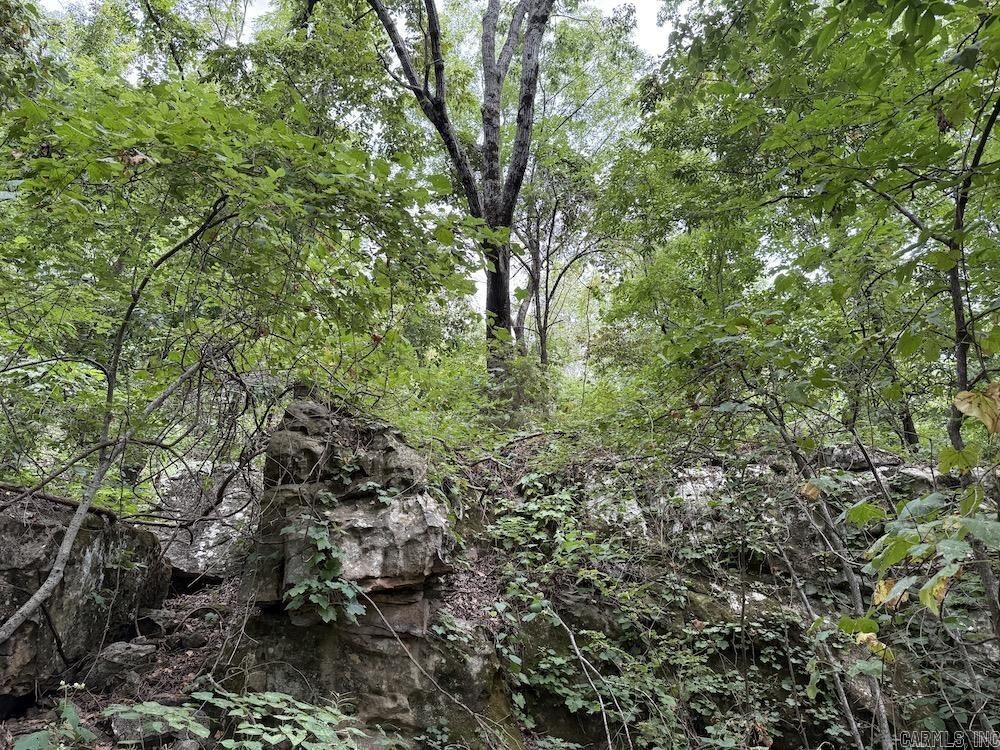 Property Photo: Tract 7 Terrapin Rd AR 72601