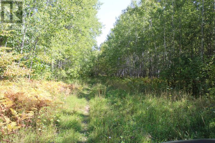 Pcl 46-3 Government Rd  Rainy River ON P0W 1L0 photo
