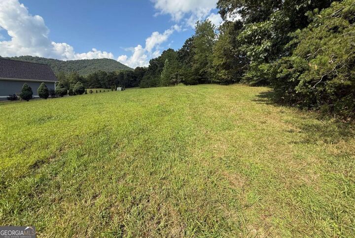 Property Photo: Lot 54 The Preserve GA 30582