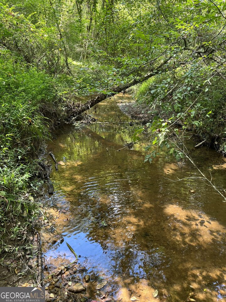 Property Photo: 0 Ga Highway 120 GA 30176