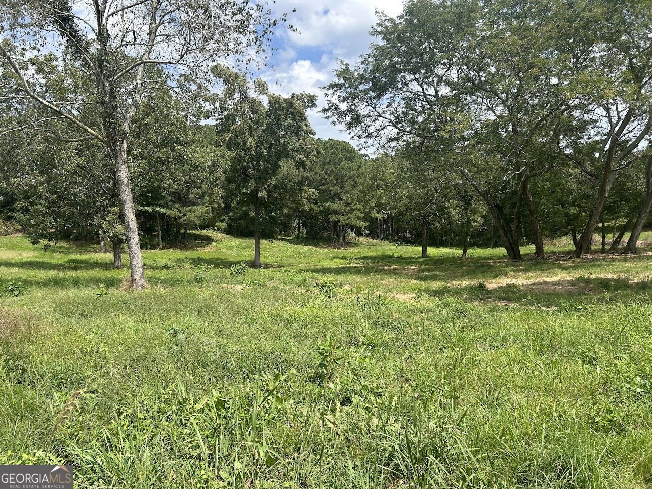 Property Photo:  0 New Mexico Rd Tract 1 (7.47 Acres) Road  GA 30108 